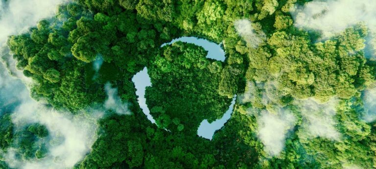 Medio ambiente: Plan de segregación y valorización de residuos Krah